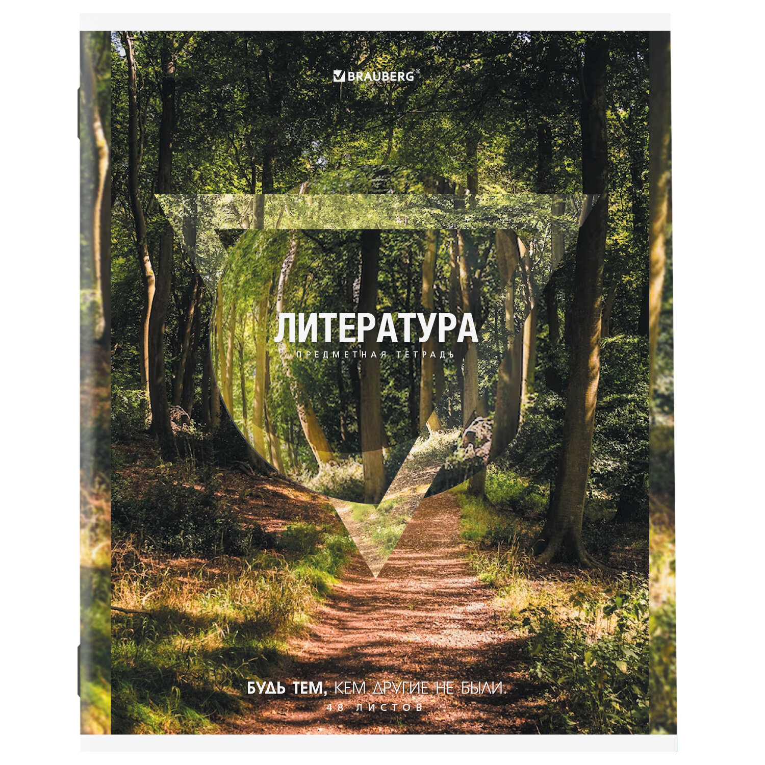 Тетрадь Brauberg 48 лист. 12 шт. - фото 11