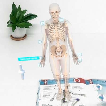 Книга DEVAR 4D Энциклопедия в мягкой обложке. Анатомия: тело человека