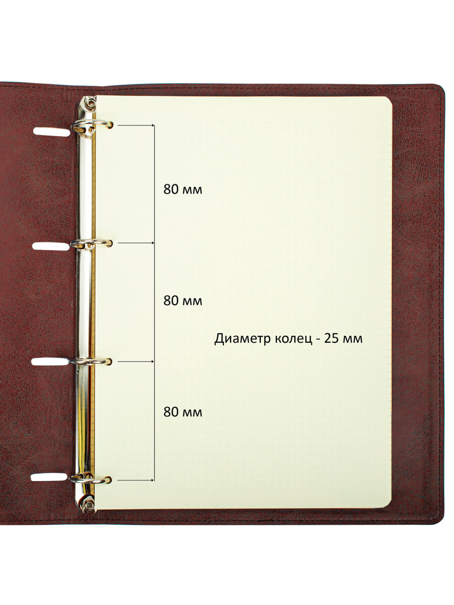 Тетрадь со сменным блоком Brauberg клетка 120 лист. - фото 5