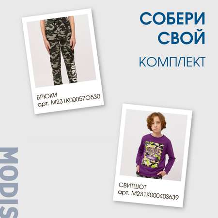Свитшот MODIS