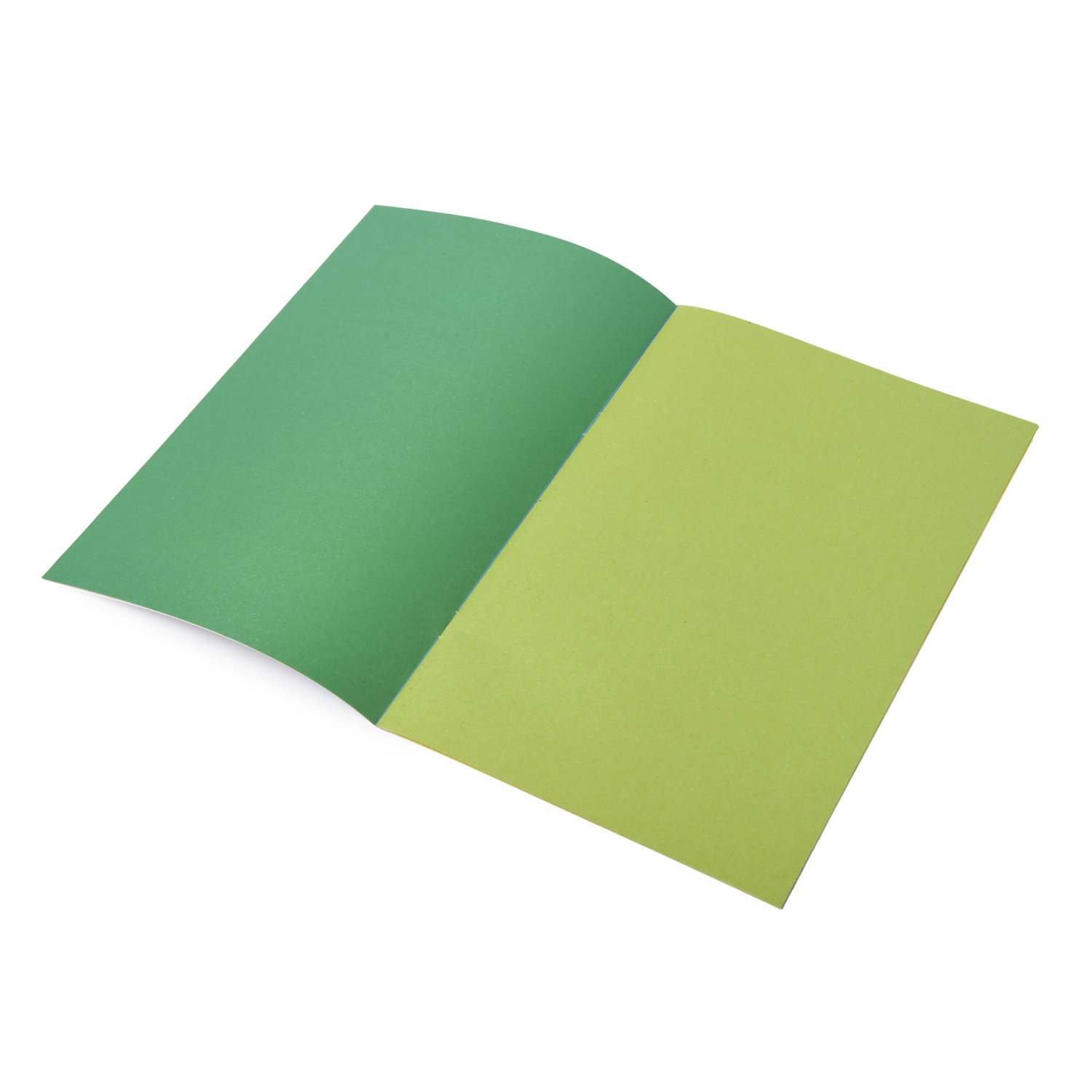 Бумага цветная Erhaft А4 8л 08-2385 - фото 2