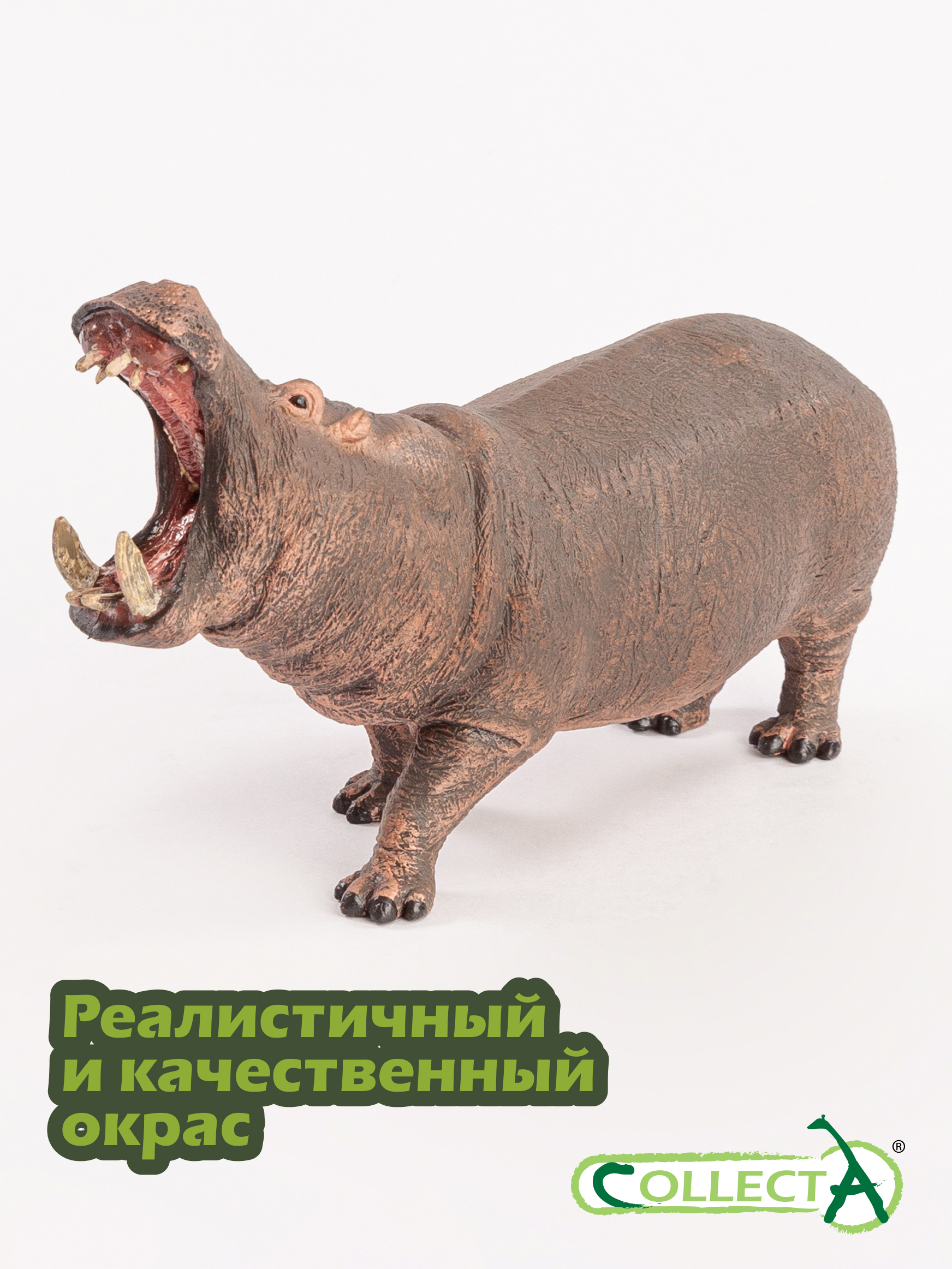 Фигурка Collecta Гиппопотaм - фото 4