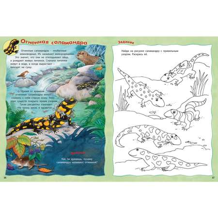 Книга ЭНАС-книга Кто живёт в реке?