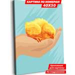 Картина по номерам Art sensation Цыпленок в ассортименте