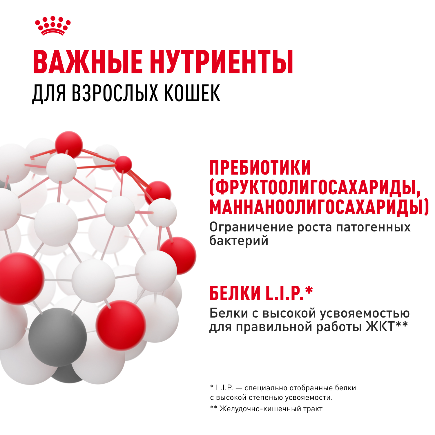 Корм сухой для кошек ROYAL CANIN 2кг Digestive care для поддержания здоровья пищеварительной системы - фото 7