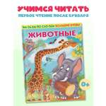 Книга АСТ Первые книжки Животные