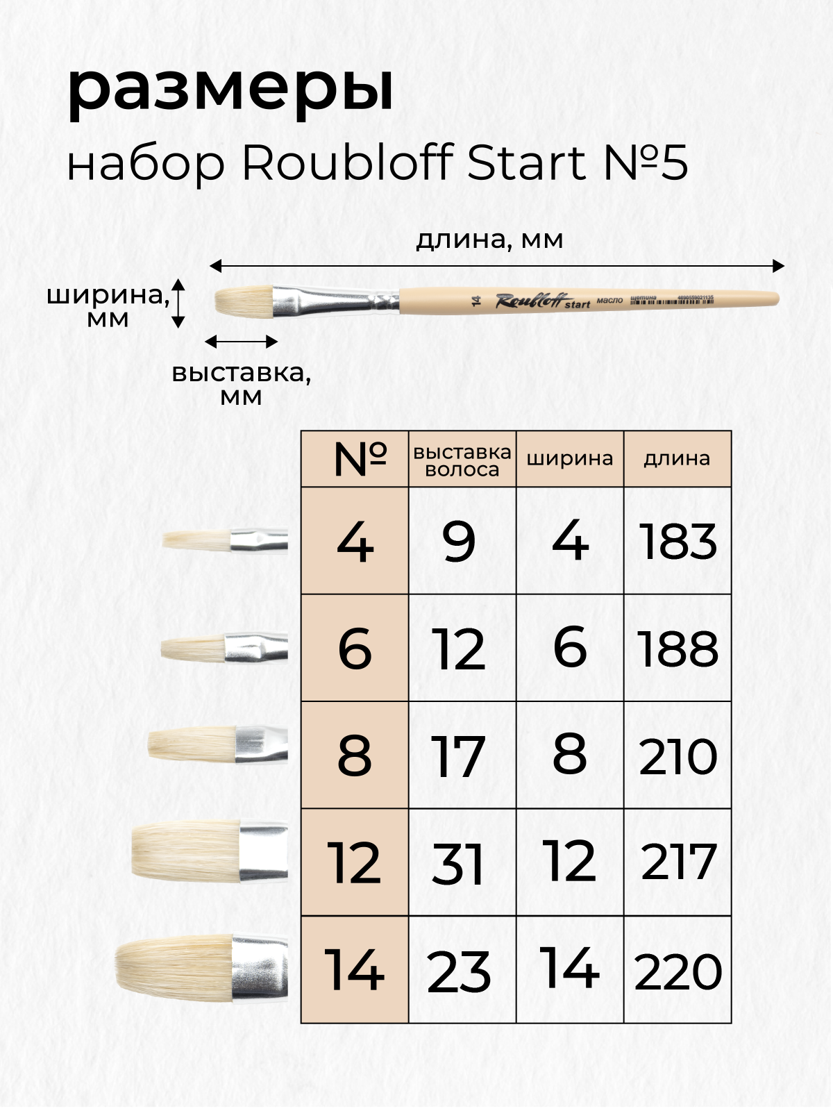 Кисть Roubloff 5 шт. (щетина) - фото 3