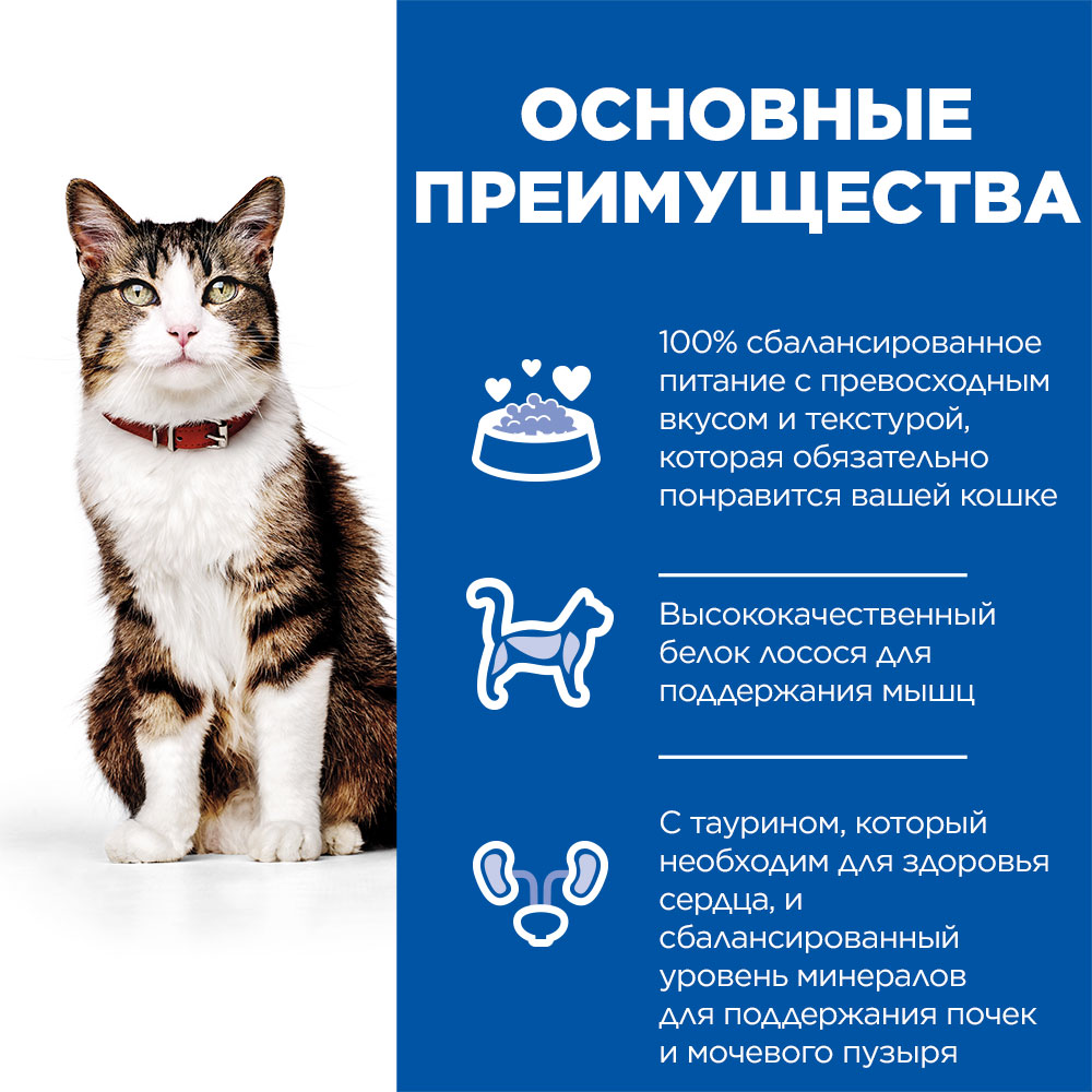 Корм для кошек Hills 10кг Science Plan Culinary Creations для поддержания жизненной энергии и иммунитета с лососем и морковью - фото 3