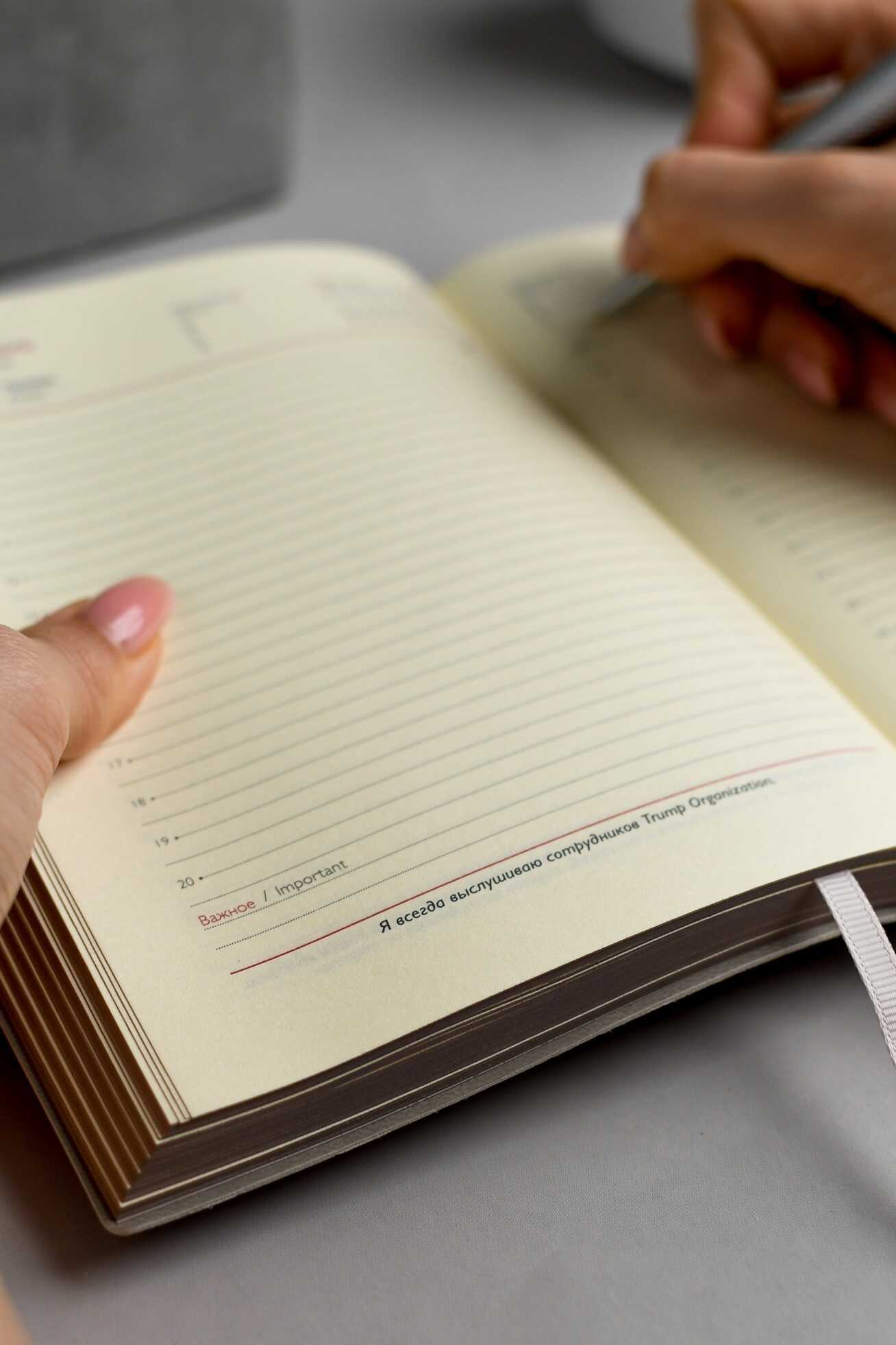 Ежедневник Феникс + ESCALADA 176 лист. - фото 14