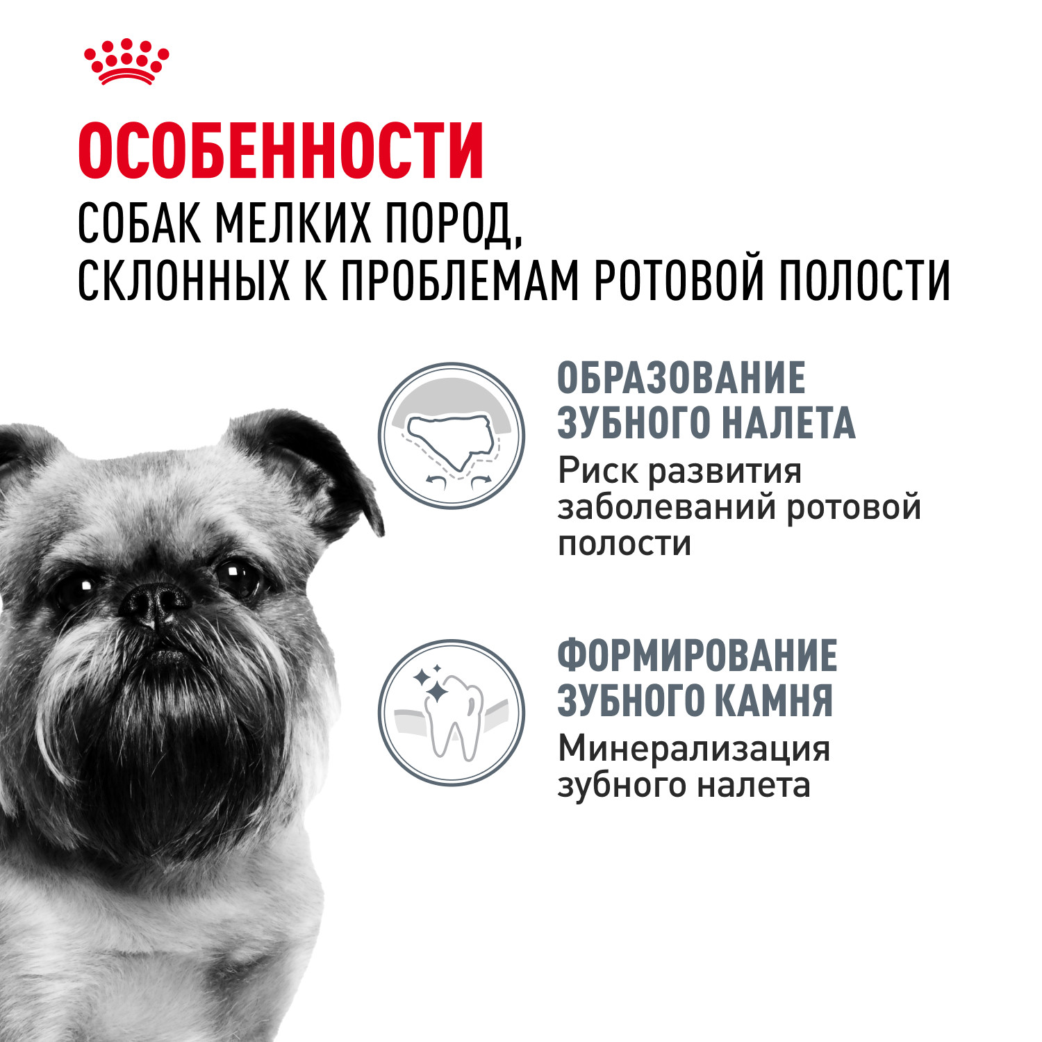 Корм для собак ROYAL CANIN Mini Dental мелких пород предрасположенных к образованию зубного камня 3кг - фото 2