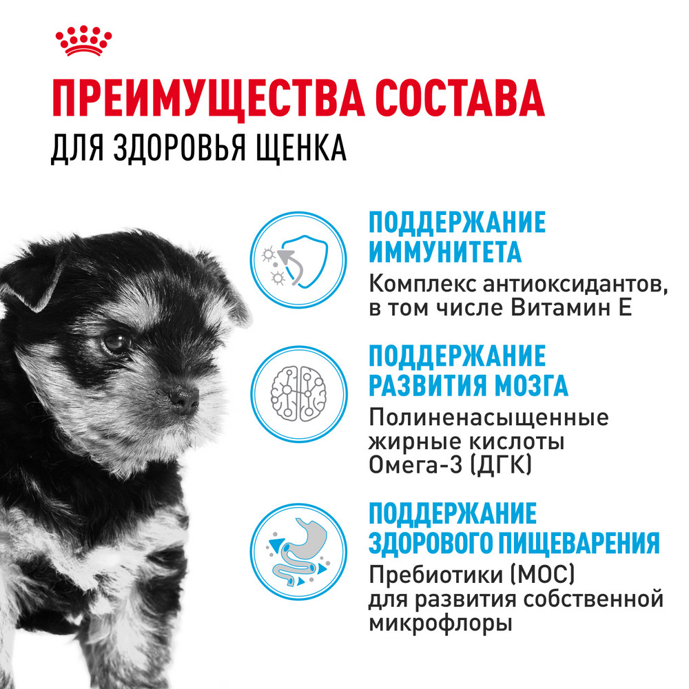 Корм для щенков ROYAL CANIN Junior породы йоркширский терьер 1.5кг - фото 2
