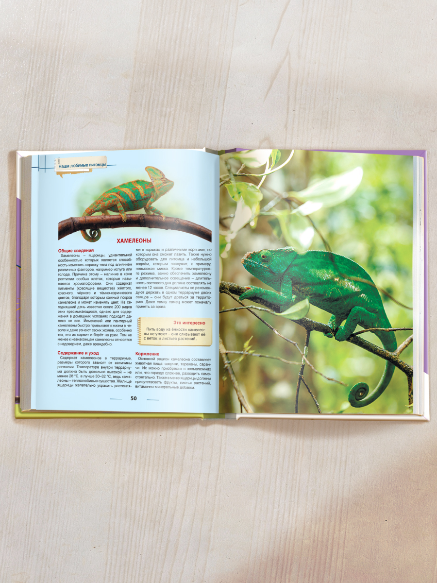 Книга Проф-Пресс Энциклопедия для детей. Наши любимые питомцы - фото 7