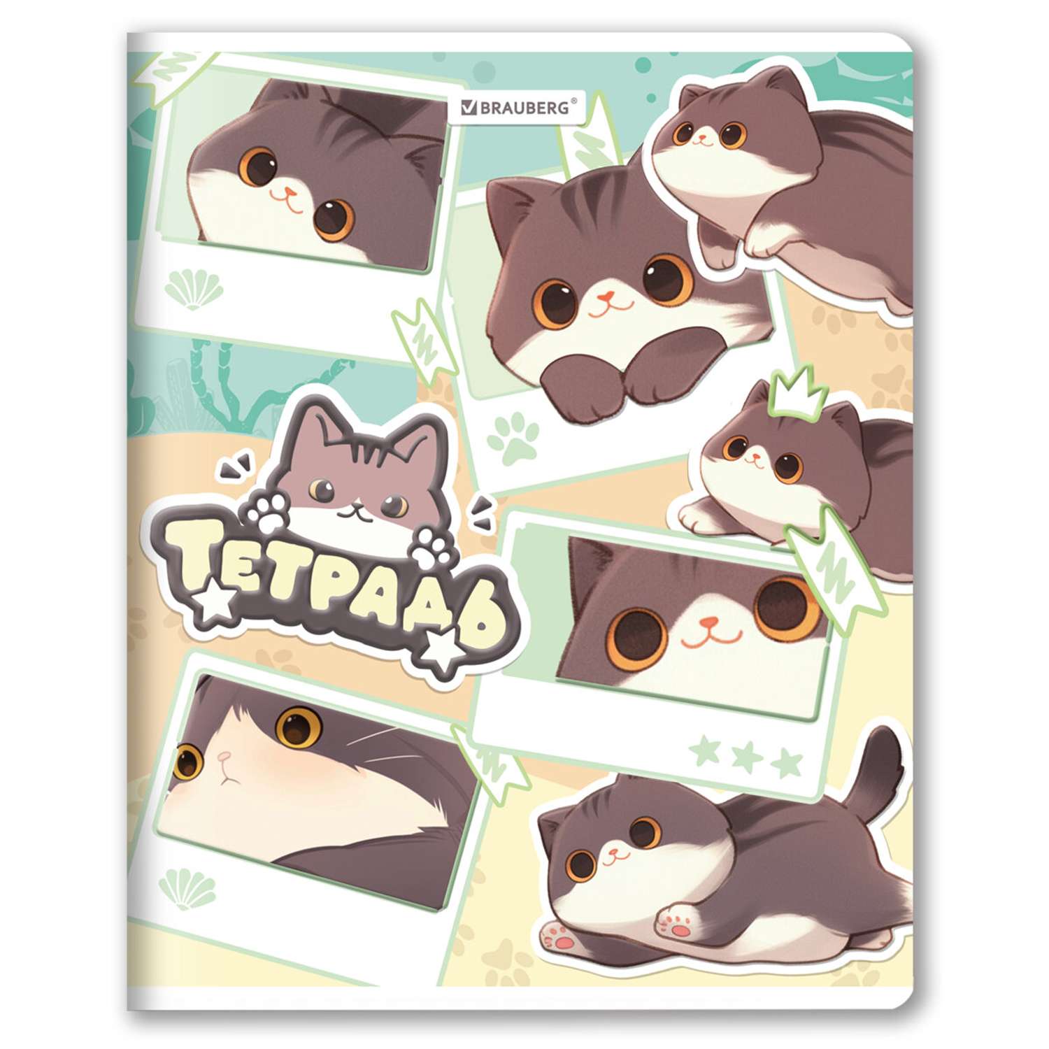 Тетрадь Brauberg клетка 48 лист. в ассортименте - фото 7