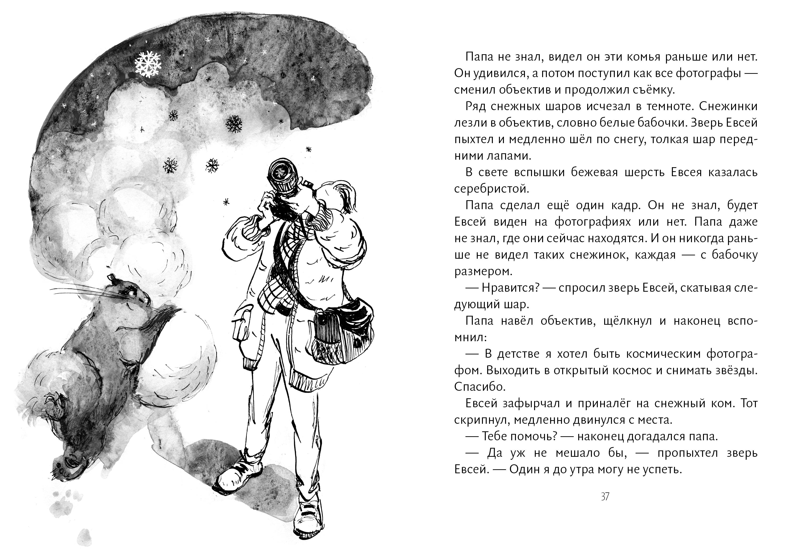 Книга Волчок Зверь Евсей - фото 5