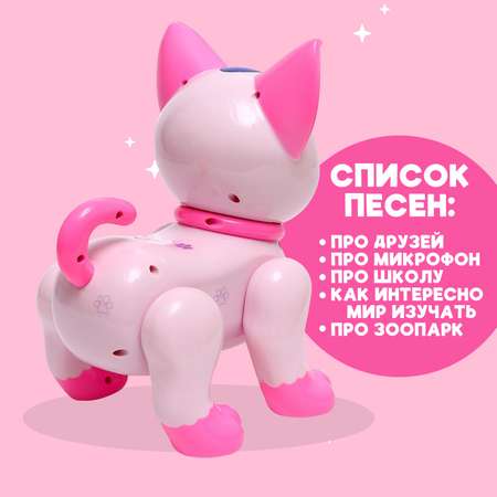 Кошка РУ Автоград