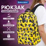 Рюкзак Brauberg