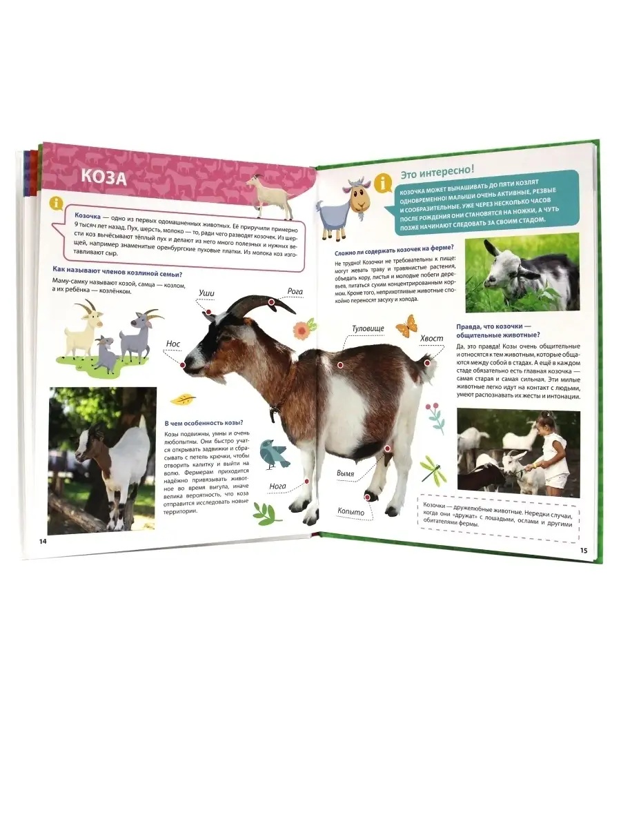Книга Проф-Пресс Первая детская энциклопедия Всё о животных фермы малышам - фото 3