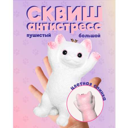 Сквиш КАМЕЛИЯ