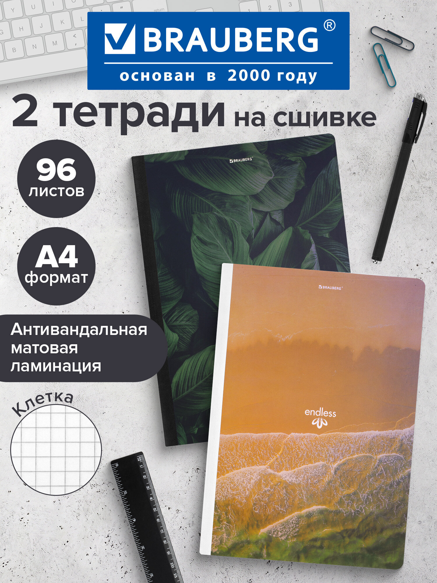 Тетрадь Brauberg клетка 96 лист. 2 шт. - фото 1