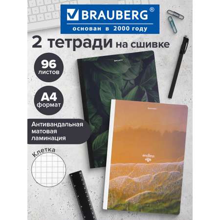 Тетрадь Brauberg клетка 96 лист. 2 шт.