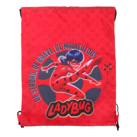 Мешок для обуви Erhaft Lady Bug