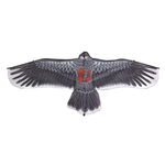 Воздушный змей ё