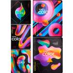 Общая тетрадь Collezione клетка 48 лист. 5 шт.