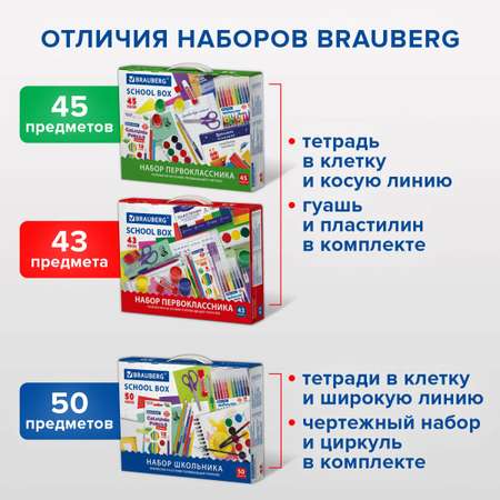 Набор школьника Brauberg 45 предм.