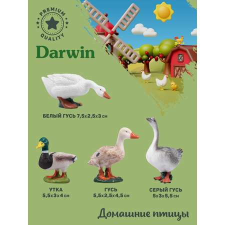 Игровой набор DARWIN Домашние птицы 8 шт
