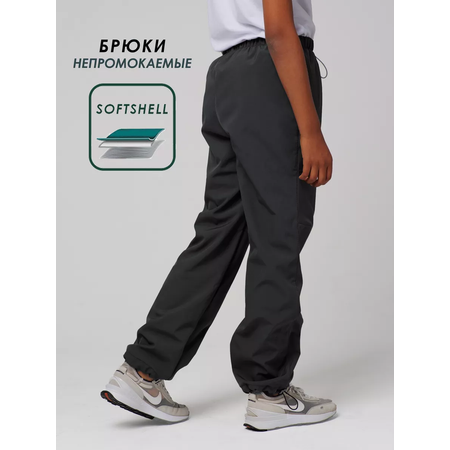 Брюки Lemonwear