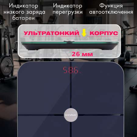 Весы ENDEVER Aurora-568