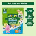 Каша Gipopo молочная овсяная яблоко черника черная смородина 170г с 5 месяцев