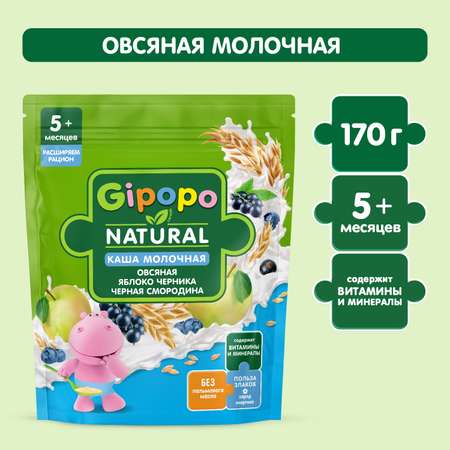 Каша Gipopo молочная овсяная яблоко черника черная смородина 170г с 5 месяцев
