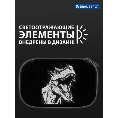 Пенал Brauberg