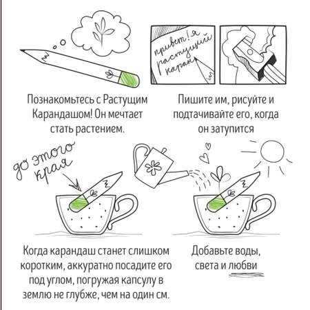 Набор для выращивания magicme