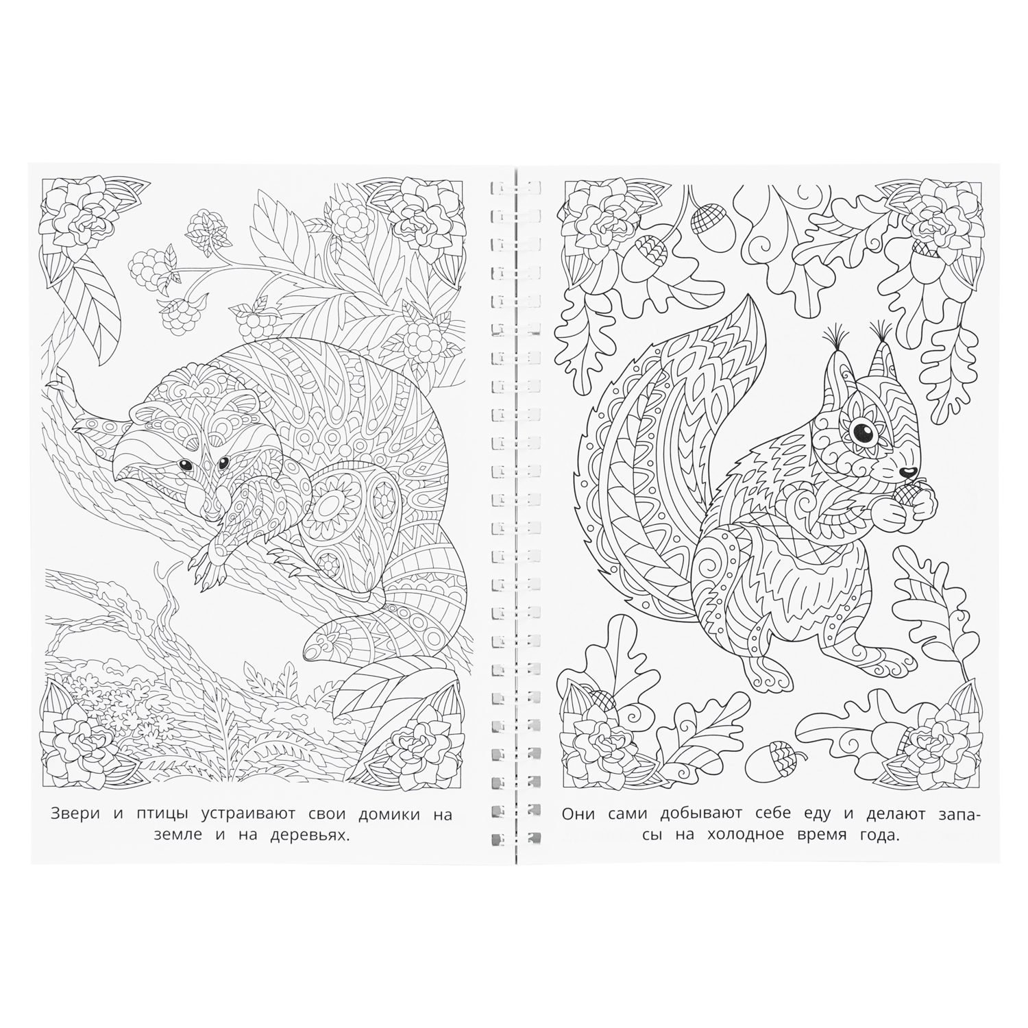 Раскраска антистресс УМка Мир природы - фото 3