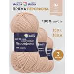 Пряжа для вязания Astra Premium 100г 100м 3шт