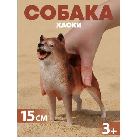 Игровой набор Наша Игрушка Собака