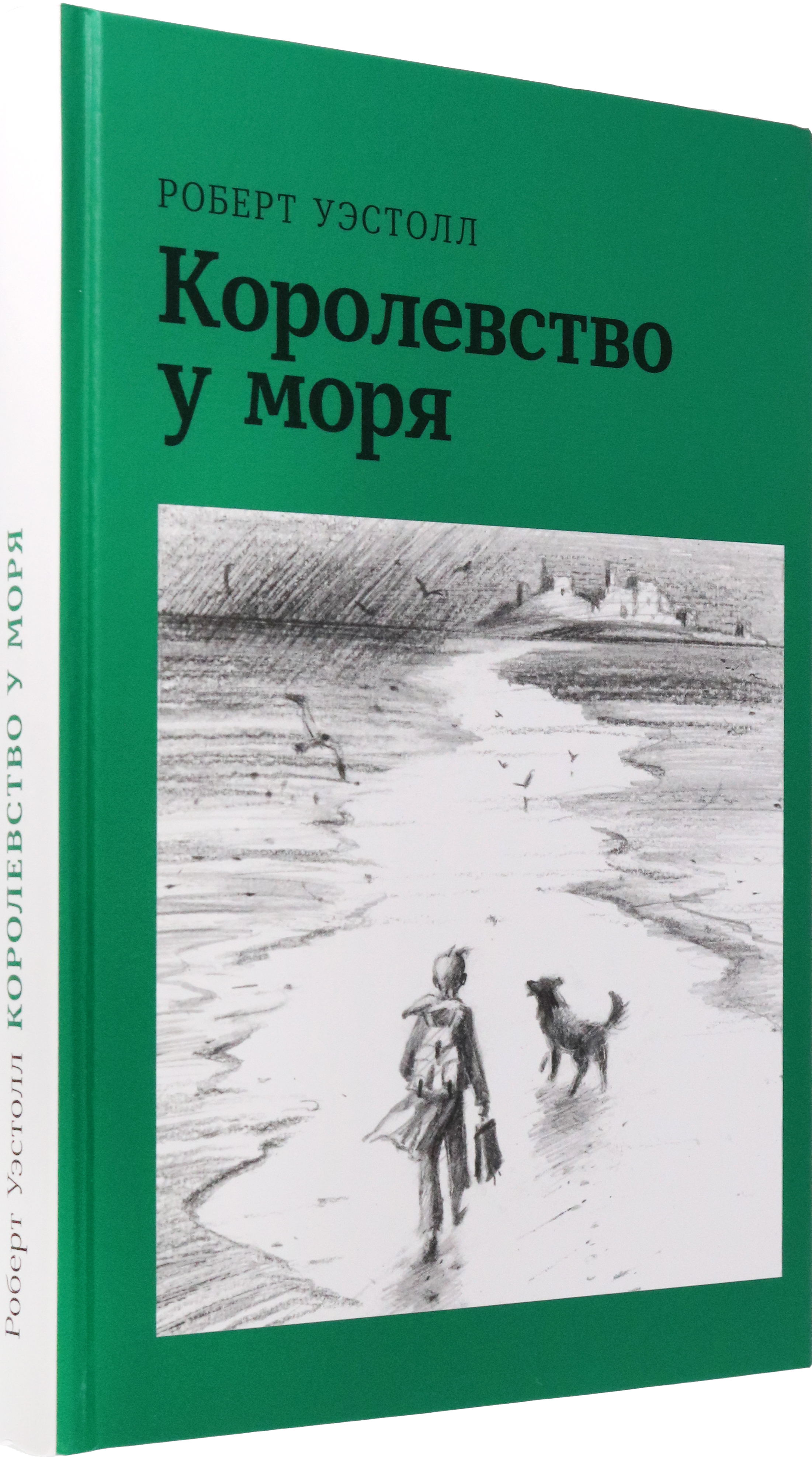 Книга Волчок Королевство у моря - фото 2
