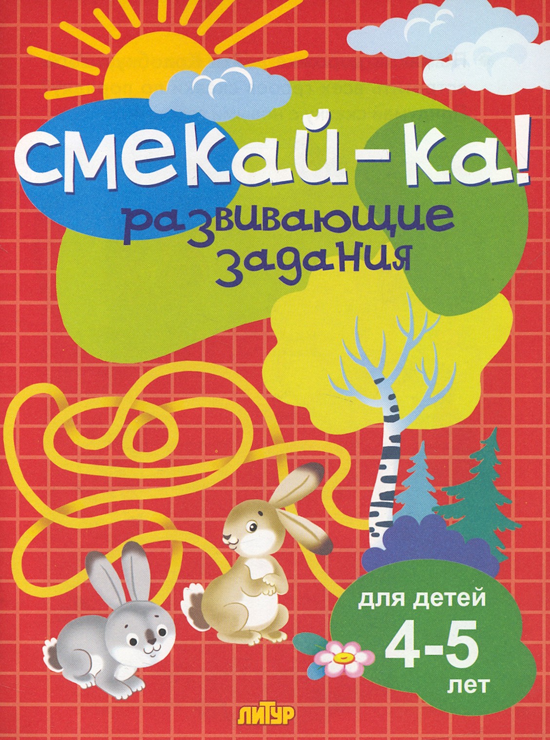 Книга Литур Развивающие задания для детей 4-5 лет - фото 1