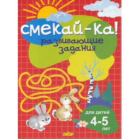 Книга Литур Развивающие задания для детей 4-5 лет