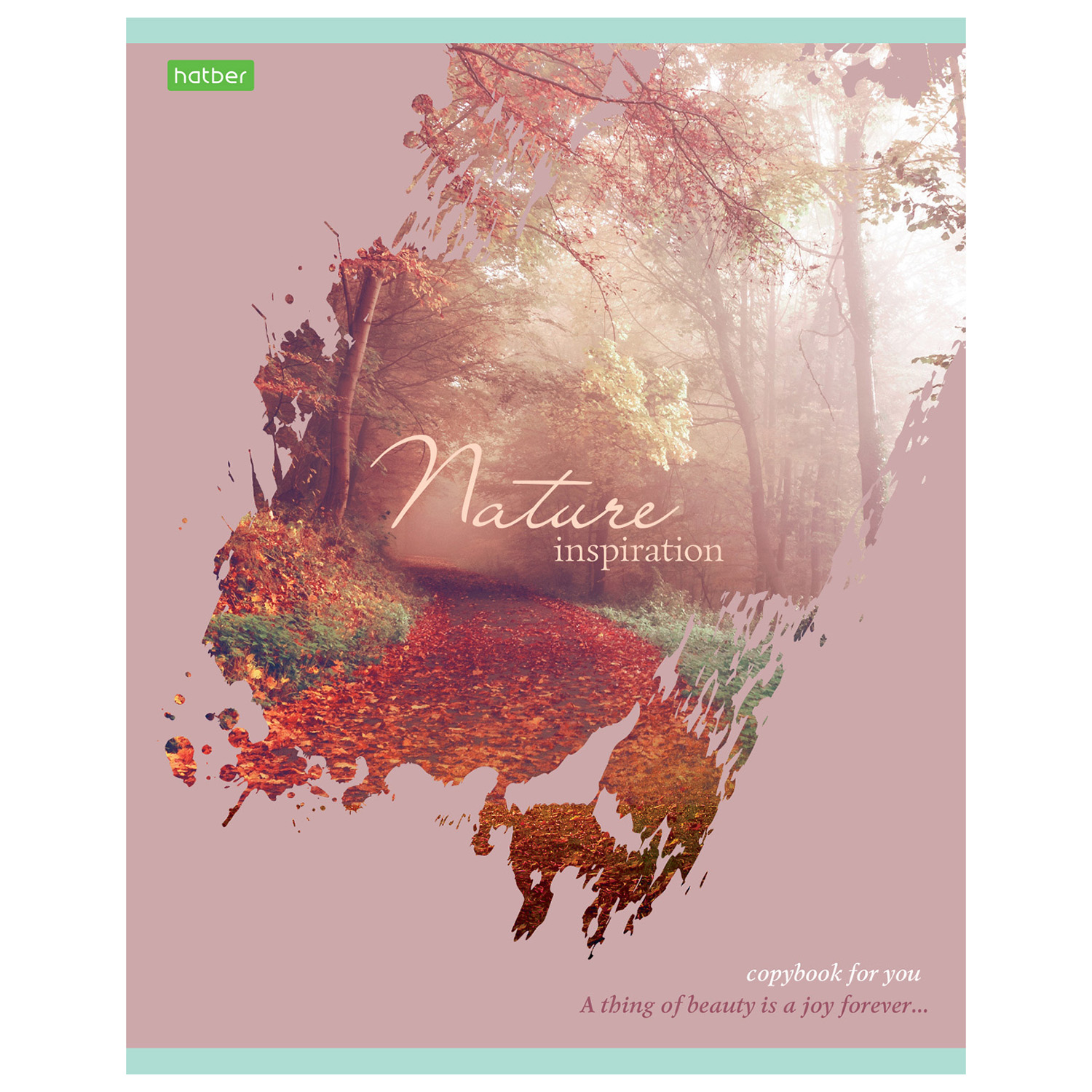 Общая тетрадь Hatber клетка 80 лист. в ассортименте - фото 3