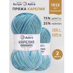 Пряжа для вязания носочная Astra Premium 100г 400м 2шт