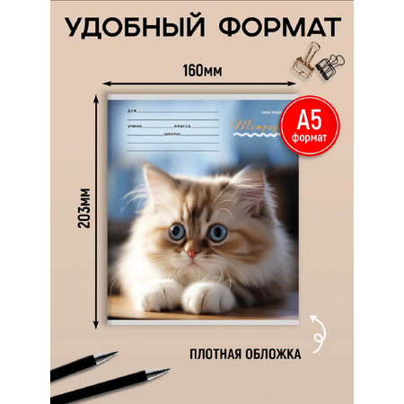 Тетрадь Prof-Press клетка 12 лист. 20 шт.