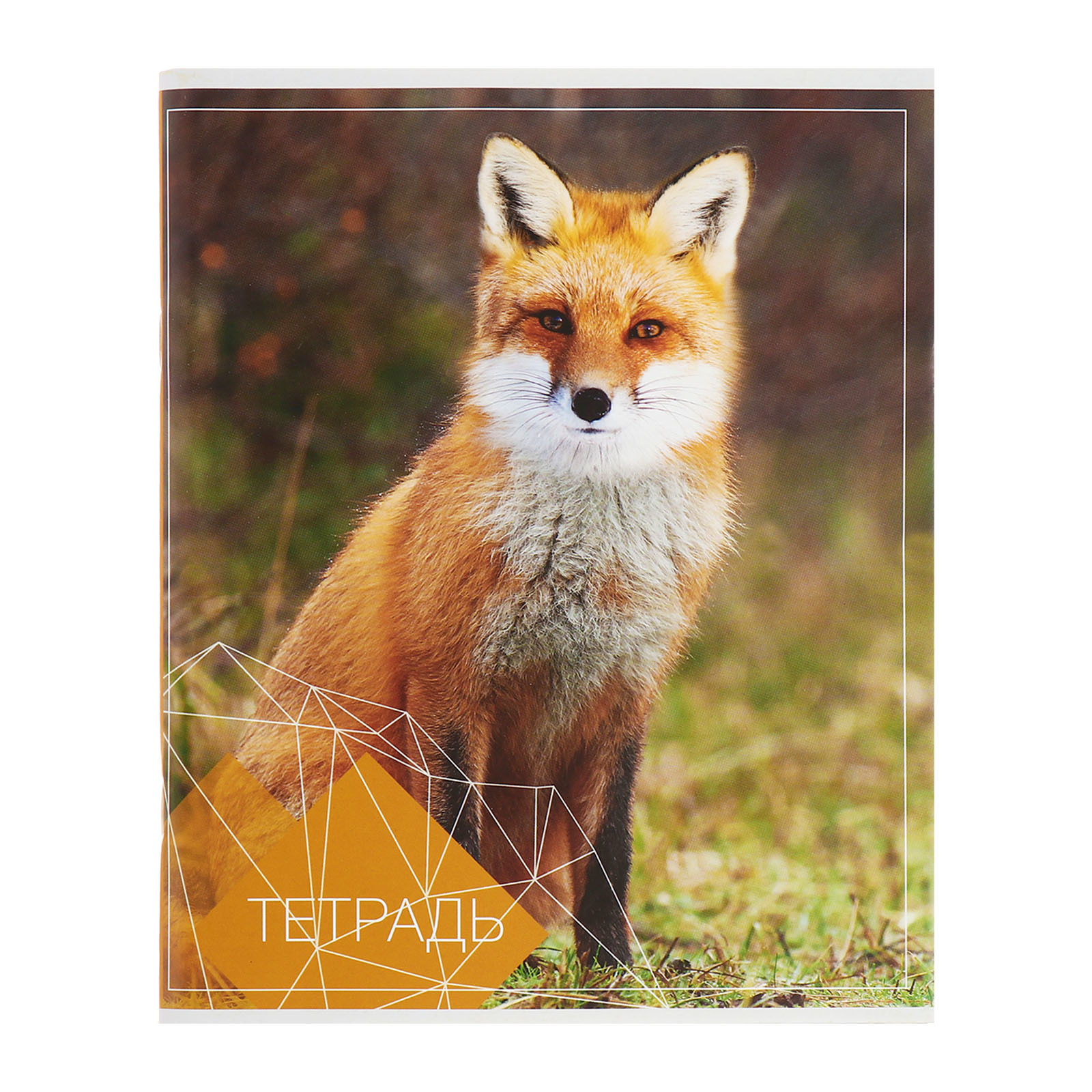 Общая тетрадь Calligrata клетка 96 лист. 4 шт. - фото 5