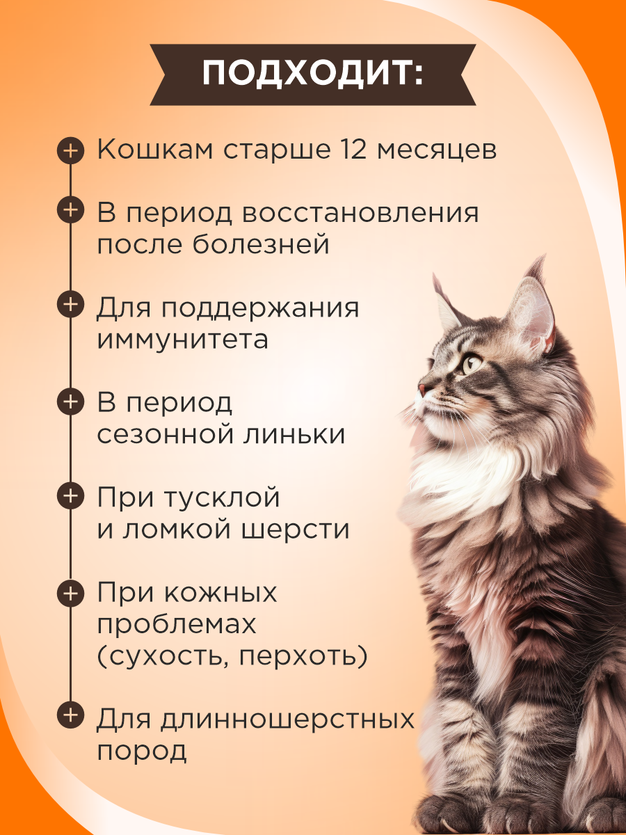 Полезное лакомство для кошек GOODR CAT со вкусом голландского сыра 90 таблеток - фото 2