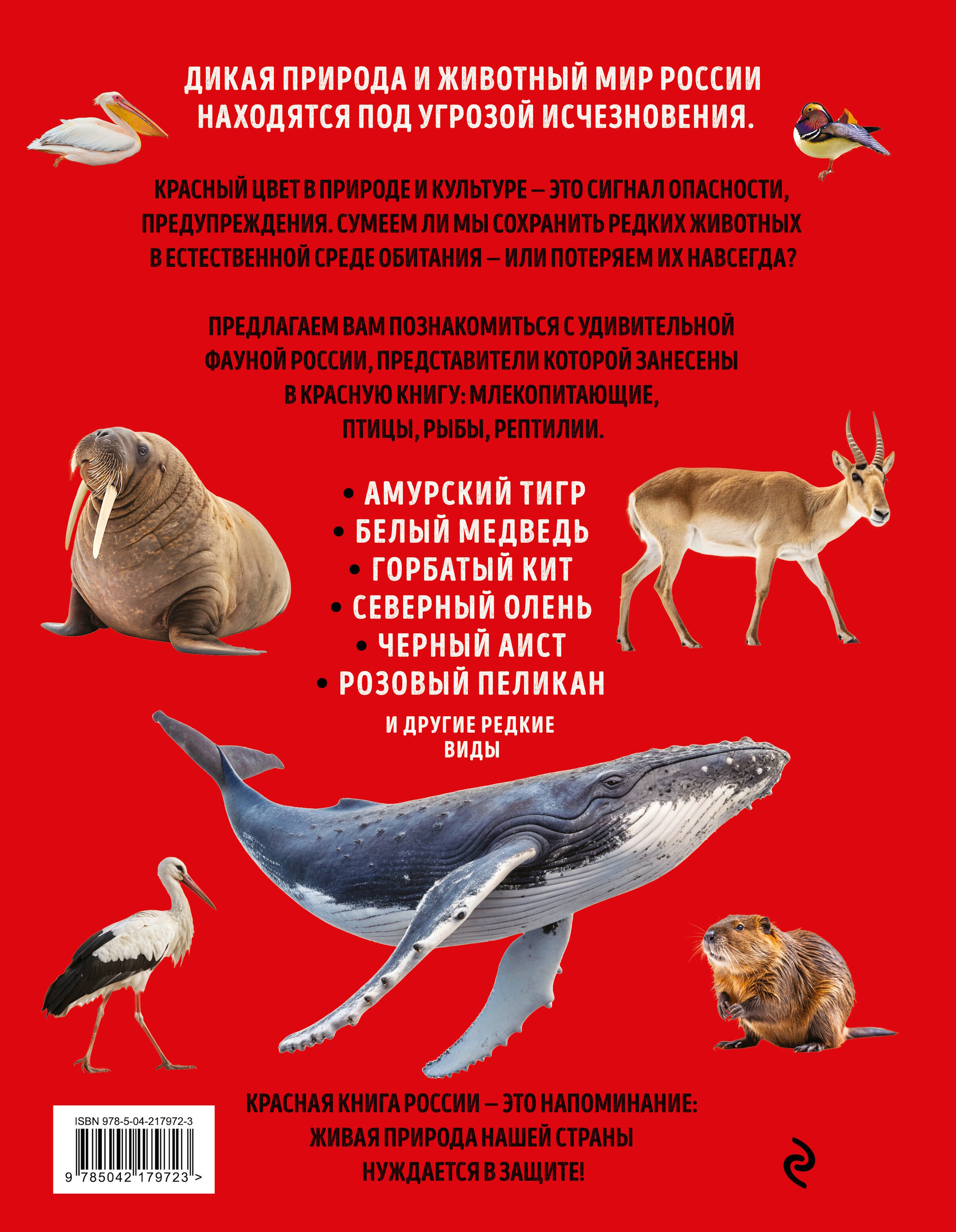Книга Эксмо Красная книга России Большая - фото 2