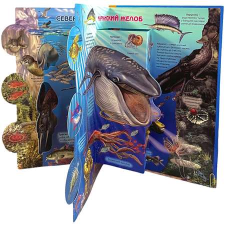 Книжка-панорамка 3D BimBiMon Энциклопедия детская Обзор на 360 Секреты подводного мира