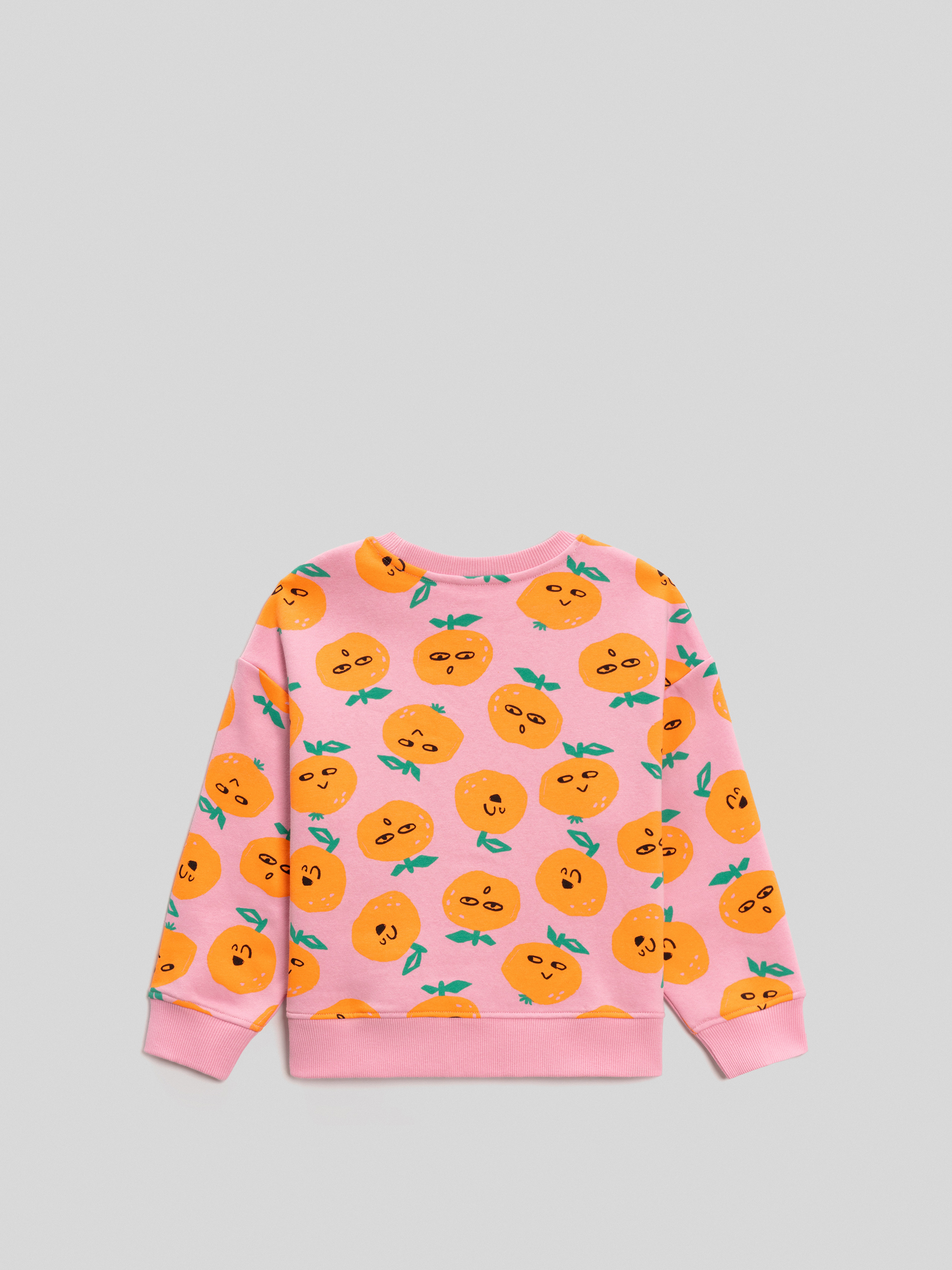 Свитшот Acoola 20220170166_0093247 - фото 4