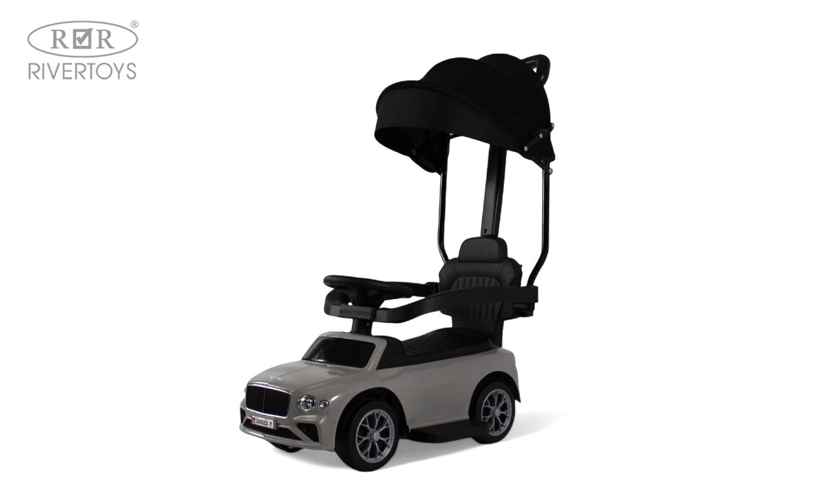 Каталка RIVERTOYS Z005ZZ-T-GREY серый - фото 1